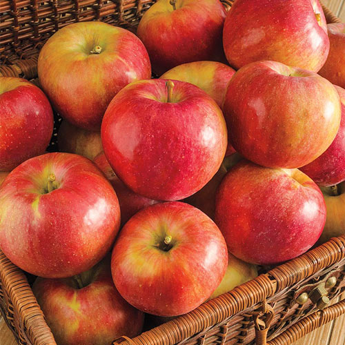 Crisp apples from The Farmer Corner - Healthy fruit