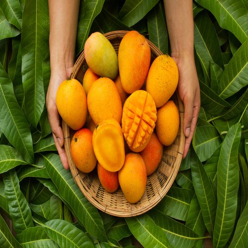 Sweet mangoes from The Farmer Corner - Tropical fruit