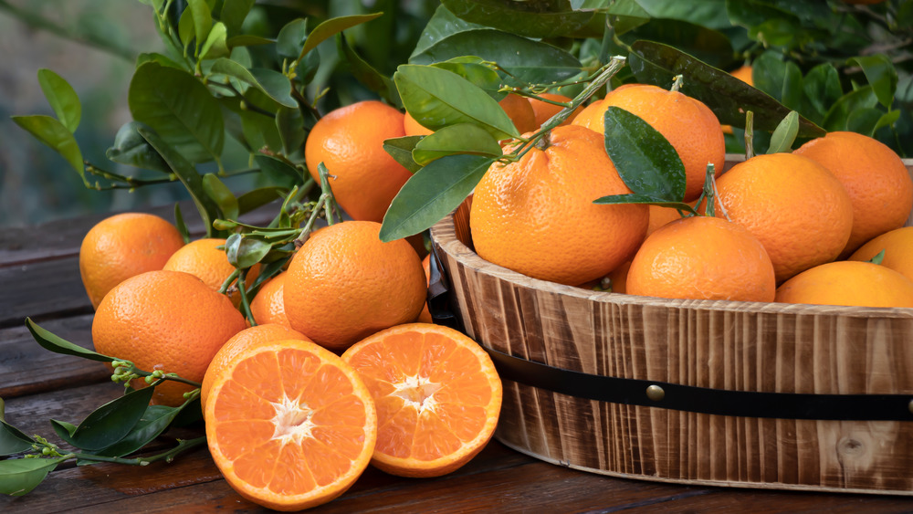 Juicy oranges from The Farmer Corner - Vitamin-rich fruit