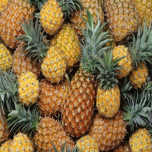 Fresh pineapples from The Farmer Corner - Tropical fruit