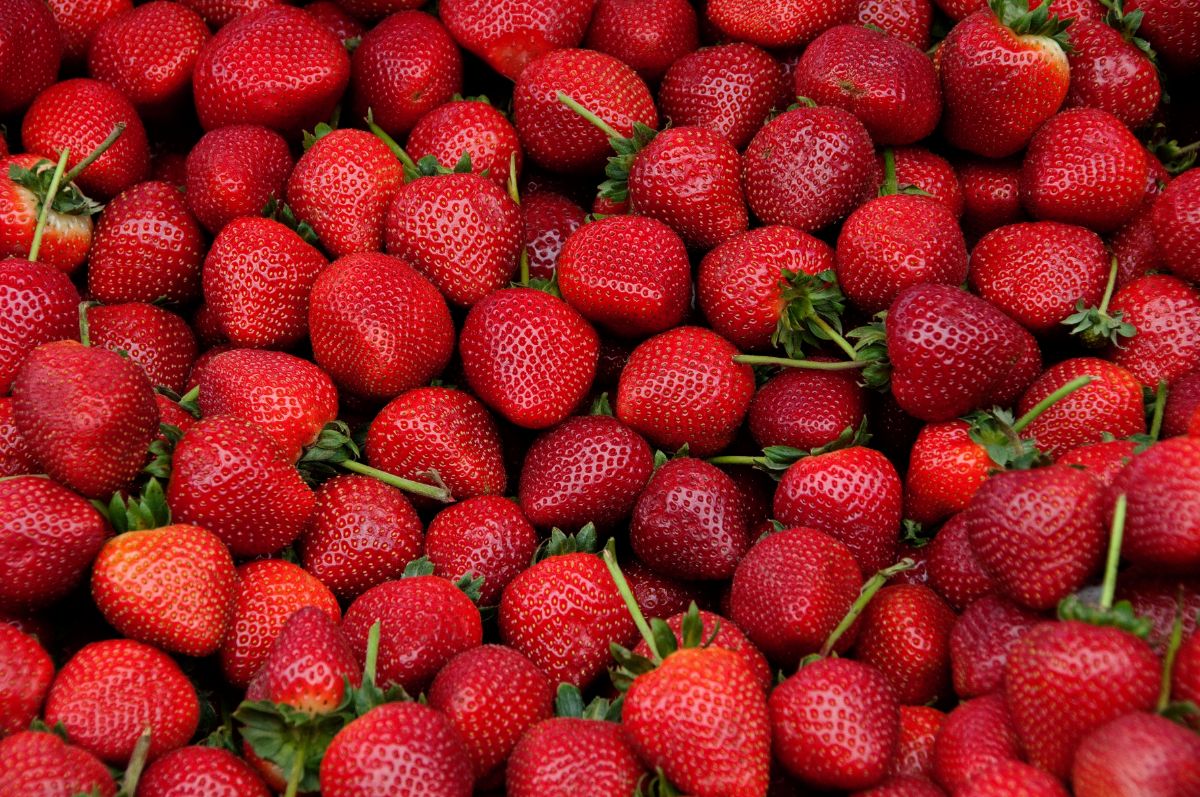 Fresh strawberries from The Farmer Corner - Sweet and juicy fruit